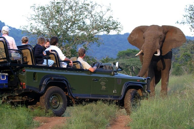 Night Game Drives, Pilanesberg National Park